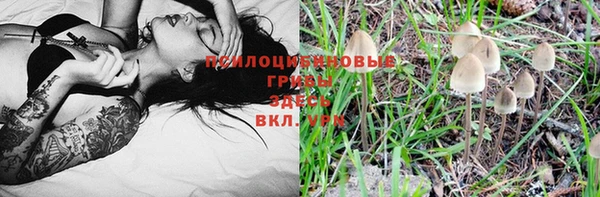 молекула духа Алзамай