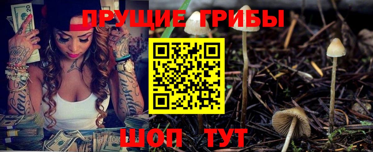 Псилоцибиновые грибы GOLDEN TEACHER  Вход с VPN  Новоалтайск 